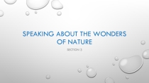 Speaking about the wonders of nature (к учебнику Enjoy English 6 класс М. З. Биболетова)