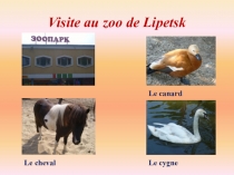 Презентация по теме Le Zoo