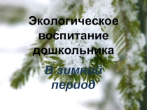 Экологическое воспитание дошкольников в зимний период