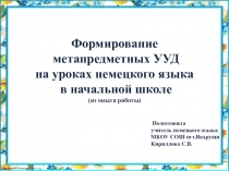 Презентация Формирование метапредметных универсальных учебных действий на уроках немецкого языка в начальной школе (из опыта работы)