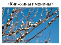 Презентация по внеурочной деятельности. Неделя детской книги