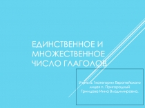 Презентация к открытому уроку
