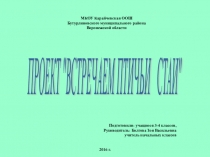 Проект Встречаем птичьи стаи (презентация)