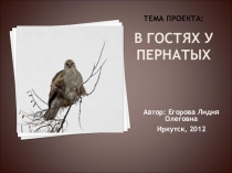 Проект В гостях у пернатых