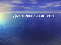 Презентация по биологии на тему Дыхательная система