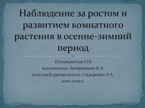 Исследовательская работа Хлорофитум 2 класс