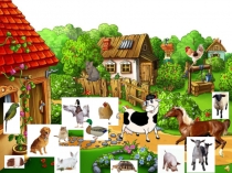 Презентация по английскому языку на тему Мой питомец