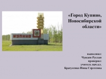 Проект г. Купино Новосибирской области (2 класс)