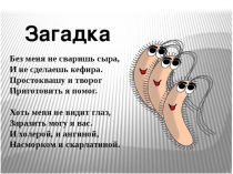 Презентация по биологии Бактерии 5 класс