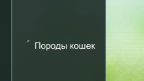 Презентация по познавательному развитию в старшей группе Породы кошек