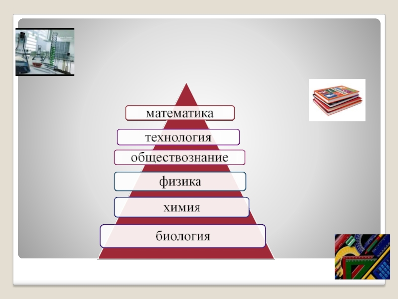 Роль школьного образования в формировании экономической культуры ученика или модель современного экономического воспитания