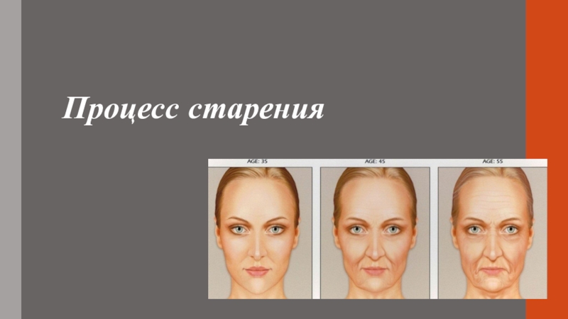 Презентация по предмету Естествознание, раздел Биология