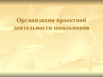 Презентация по индивидуальным проектам обучающихся