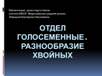 Презентация по биологии на тему Разнообразие хвойных деревьев