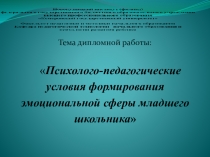 Психолого- педагогические условия формирования эмоциональной сферы младшего школьника