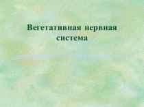 Презентация по биологии на тему Вегетативная НС (8класс)