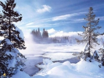 Презентация по окружающему миру на тему Кышын кошларга ничек ярдәм итәргә?