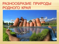 Презентация к уроку окружающий мир