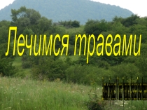 Презентация к проекту Лечимся травами.