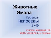Презентация к игре Арктическое путешествие Животные Ямала
