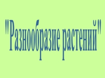 Презентация по окружающему миру Разнообразие растений