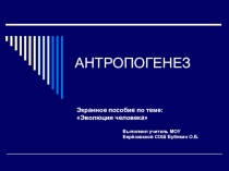 Презентация по биологии на тему Антропогенез 11 класс