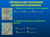 Презентация к уроку профессионально-трудового обучения Классификация древесных пород