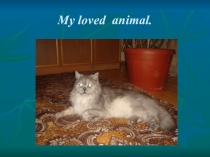 Презентация по английскому языку на тему Мой любимый питомец 6 класс