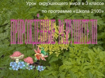 Презентацияпо окружающему миру Грибы-разрушители (3 класс)