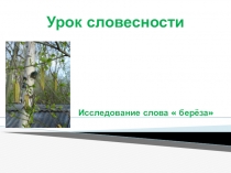 Презентация по русской словесности на тему Берёза