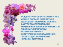 Презентация Цветы