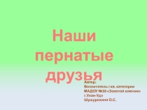 Презентация Птицы Подготовительная группа ДОУ