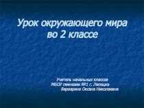 Презентация к уроку окружающего мира Жизнь тундры