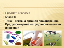 Гигиена органов пищеварения. Предупреждение желудочно–кишечных инфекций