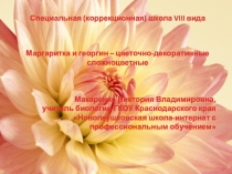 Презентация Маргаритка и георгин. 7 класс
