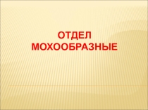 Отдел мохообразные