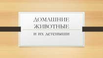 Презентация. Тема: Домашние животные