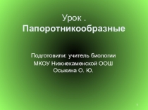 Презентация по биологии на тему Папоротникообразные (6 класс)