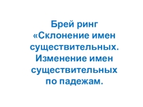 Презентация по русскому языку Склонение имен существительных