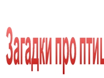 Сценарий экологического праздника День птиц
