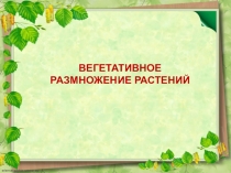 Презентация по биологии Вегетативное размножение растений