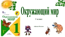 Презентация к уроку окружающего мира Откуда берутся шоколад, изюм и мёд? 1 класс Школа России