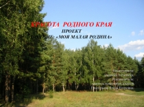 Презентация Красота родного Воронежского края