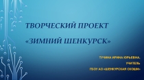 Презентация проекта Зимний Шенкурск