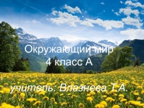 Презентация к уроку окружающего мира Наш край