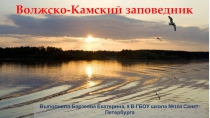 Презентация по географии России Волжско-Камский заповедник (8 класс)