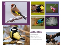 Общешкольный Экологический праздник  День Птиц( Жаворонки)