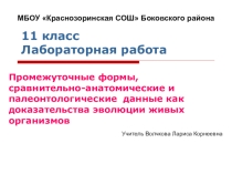 Промежуточные формы, сравнительно-анатомические и палеонтологические данные как доказательства эволюции живых организмов