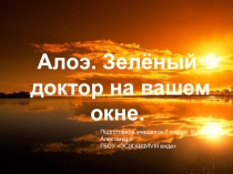 Презентация  Алоэ-зеленый доктор на вашем окне
