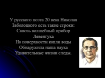 Проектная работа Микроскоп и его история. Исследование школьника